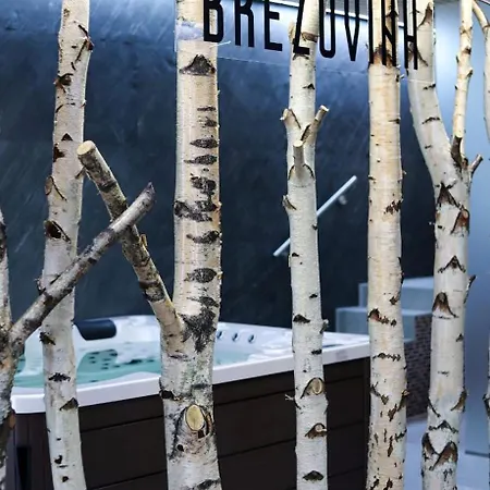 Brezovina - Orava 公寓